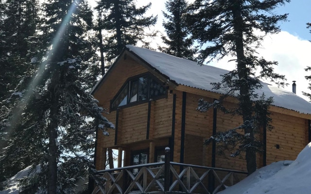 Гостевой Дом Ski Park