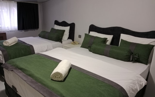 Отель Erkus Hotel İstanbul