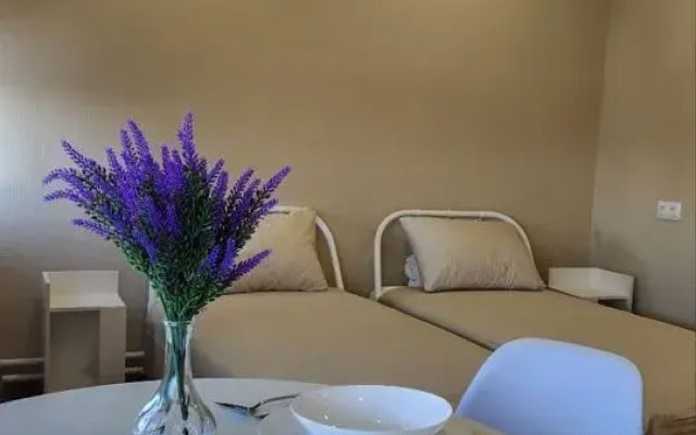 Апартаменты на Пионерской улице 1 1102