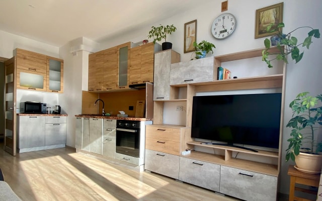 Квартира InRoomSPb на Евгения Шварца 11