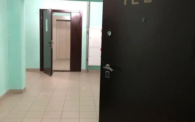 Апартаменты Ломоносова 46
