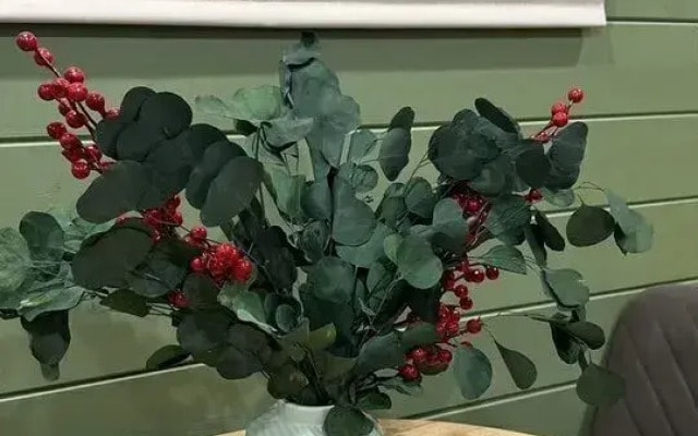 Частный дом без бани в Домодедово