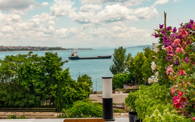 Отель Royan Hagia Sophia Istanbul, A Member Of Radisson Individuals