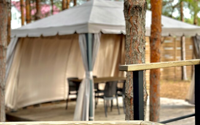 Dacha_oz