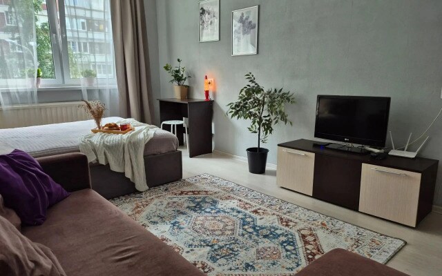 Апартаменты KolomyagiApart