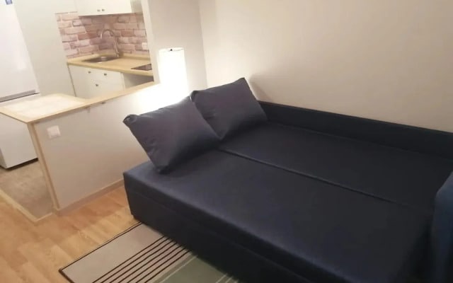 Апартаменты Comfortable Studio Vladimir