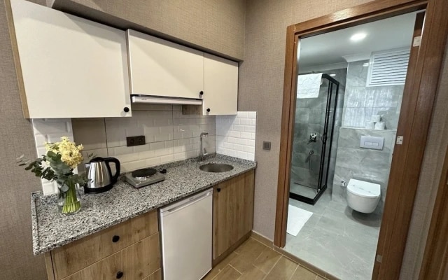Апартаменты H&L Suites
