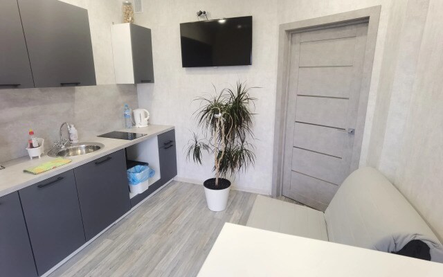 Апартаменты Loft  на Самоварной
