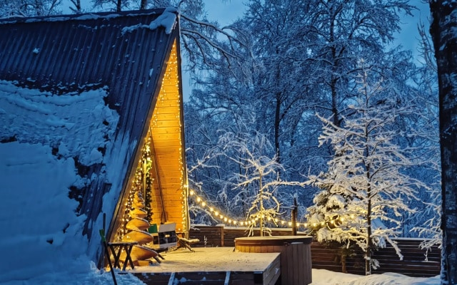 Частный дом A-frame На холме