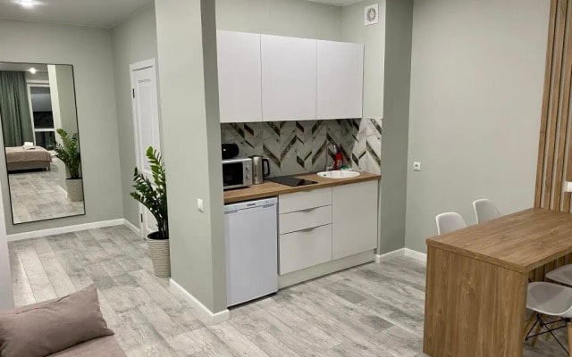 Апартаменты на Смолина, 61 (Green-room)