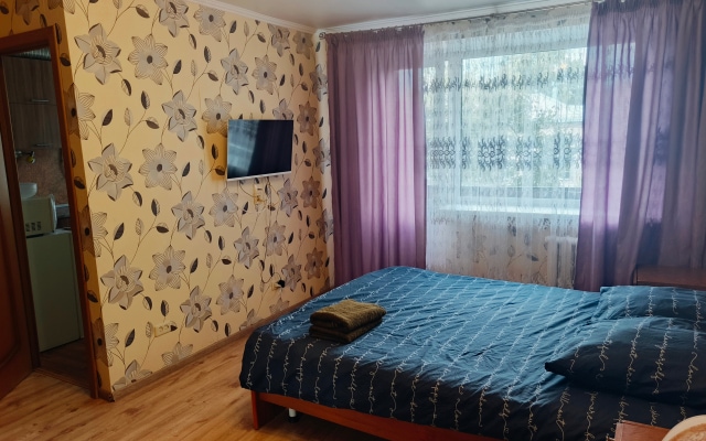Квартира на улице Мичурина 93