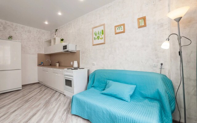 Uyutnyie Na Ligovskom Apartments