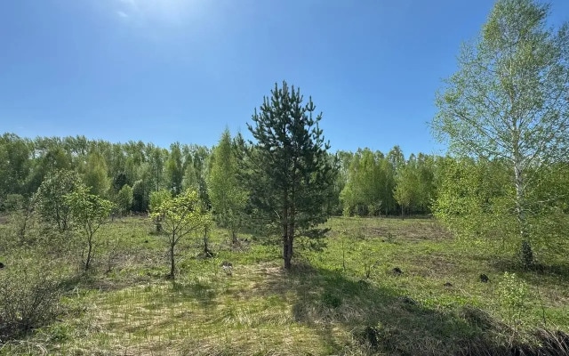 Гостевой дом Березка