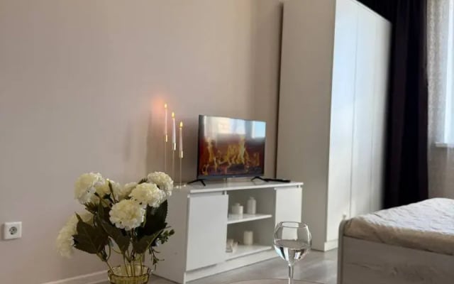 Квартира Добролюбова 16/1