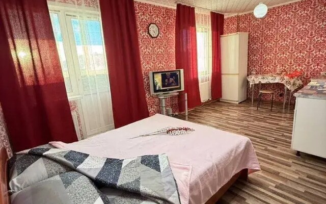 Квартира на Проспекте Ливанова 8 (59)