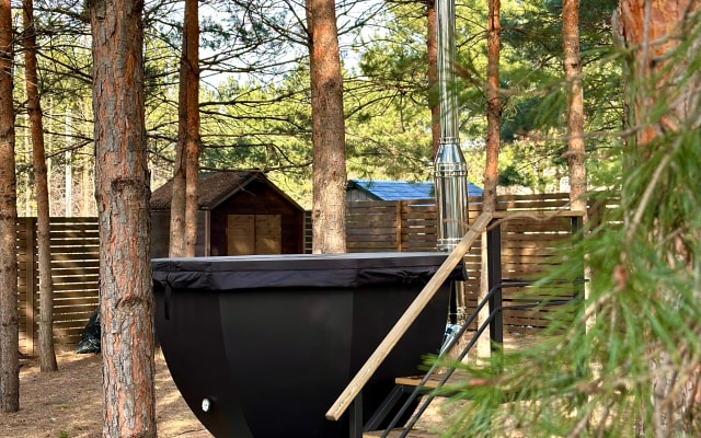 Dacha_oz