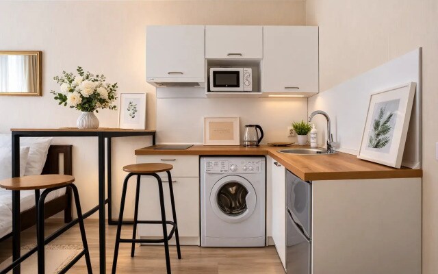 Апартаменты Студия Natalie Apartments Пулковское шоссе 14 Е (18)