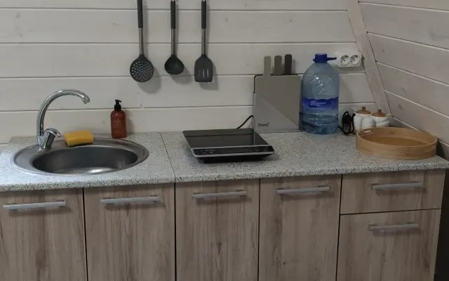 Частный дом Пряня