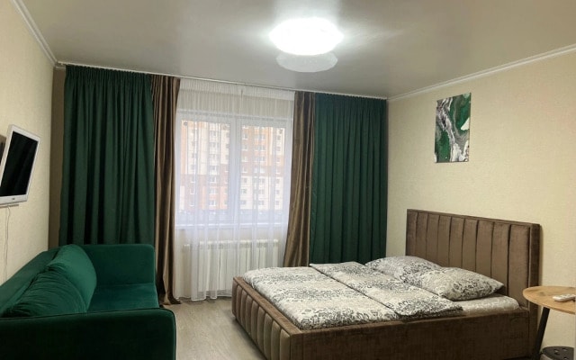 Квартира Курыжова 30