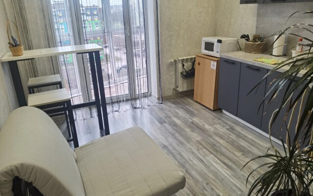 Апартаменты Loft  на Самоварной