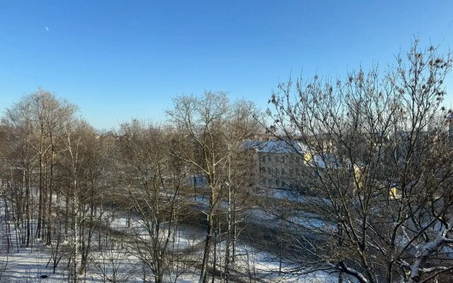Квартира в Царском Селе