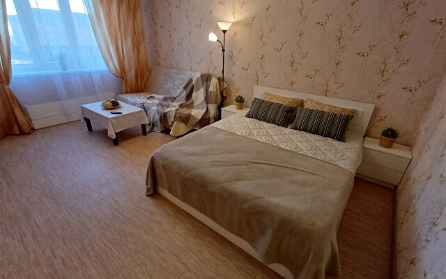 Апартаменты Чайка House на Родионова 29