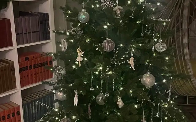 Частный дом на улице Суворова 11