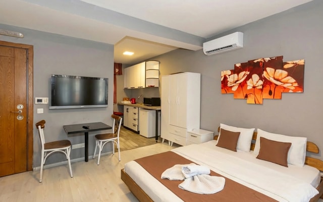 Апарт-отель Lion Hotel Taksim