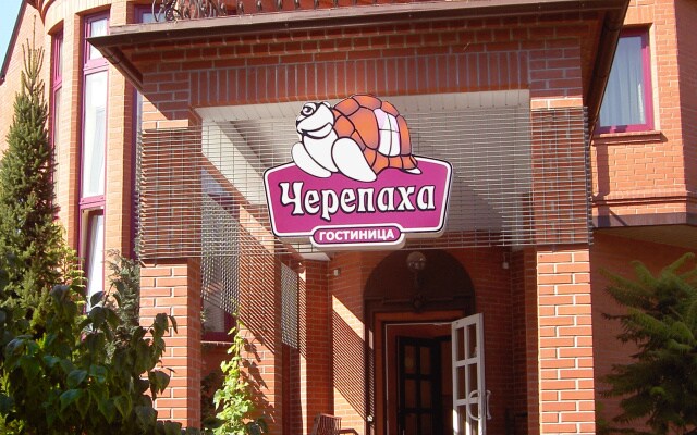Отель Черепаха