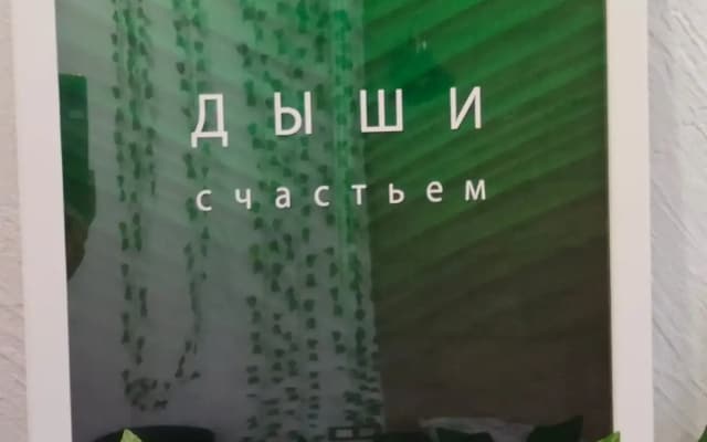 Апартаменты  "День & Ночь" Джунгли