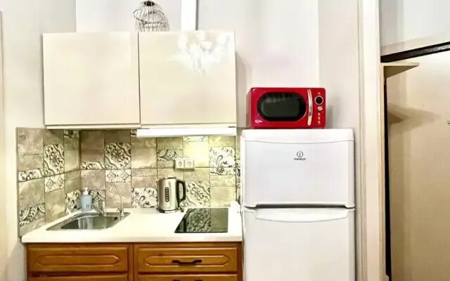 Квартира студия на Пестеля 25кв