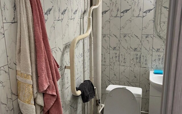 Tolstoy Na Pushkinskoy Apartments