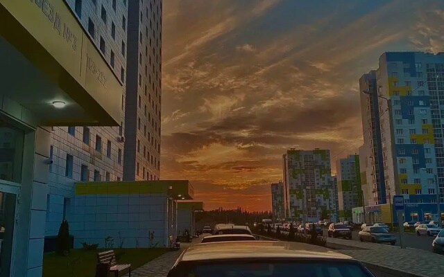 Квартира Елена Озерки