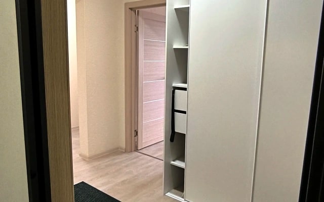 Просторная квартира на Александра Чистякова