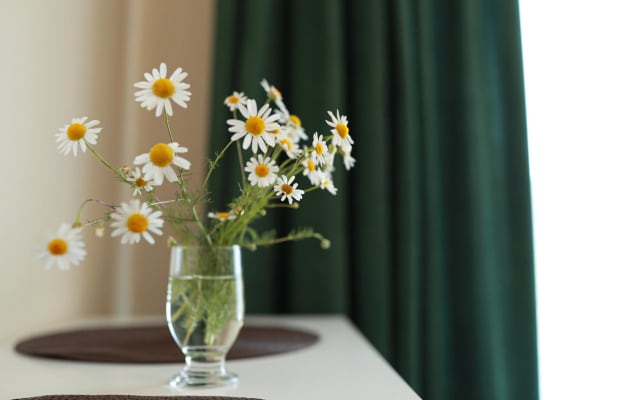 Квартира Garnet Apartments Уют