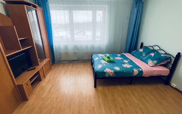 Dmitrieva 4 Apartments