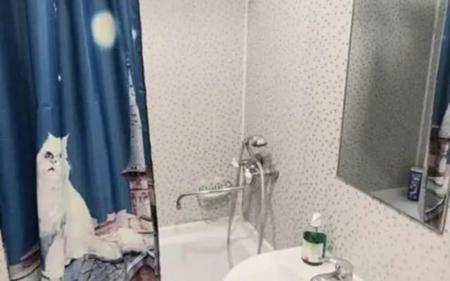 Квартира cо свежим pемонтом