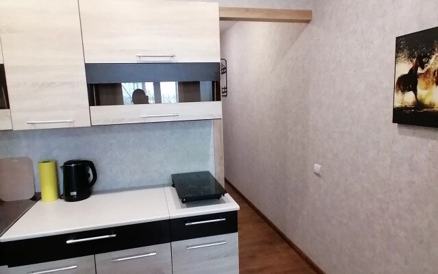 Квартира на Улице Никитина 107