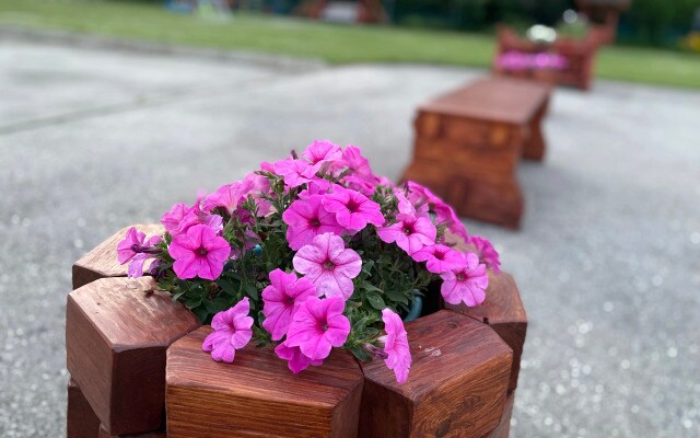 Частный дом Forest house