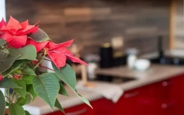 Квартира на улице Коминтерна 91 Корпус 1