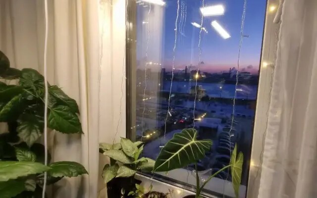 Квартира Видовая