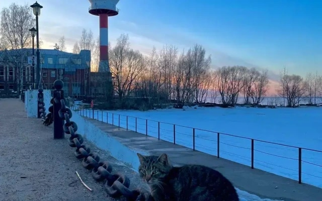 Квартира Таунхаус у Маяка 2-евро