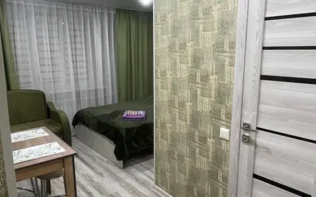 Квартира на Бульваре Ибрагимова 37 (3)