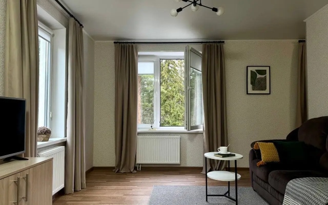 Квартира Hygge Karelia в Городе Солнца