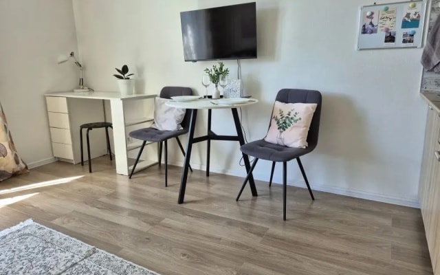 Квартира WelcomeHome Орловский Парк