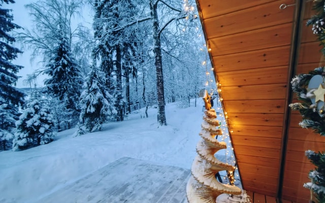 Частный дом A-frame На холме