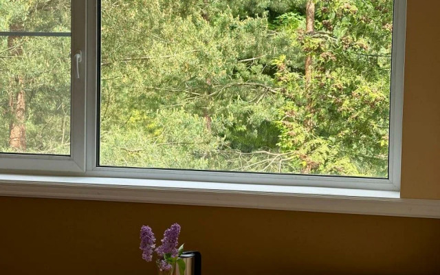 Отель Forest Relax