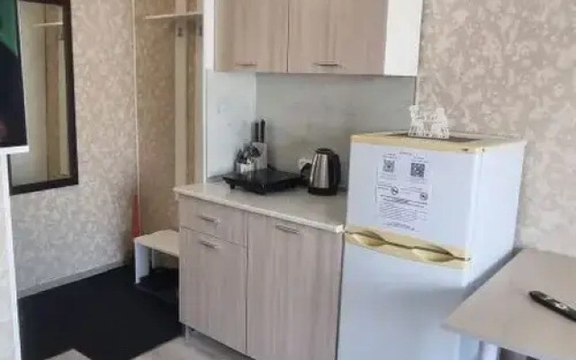 Квартира Уютная студия рядом с аэропортом Курумоч
