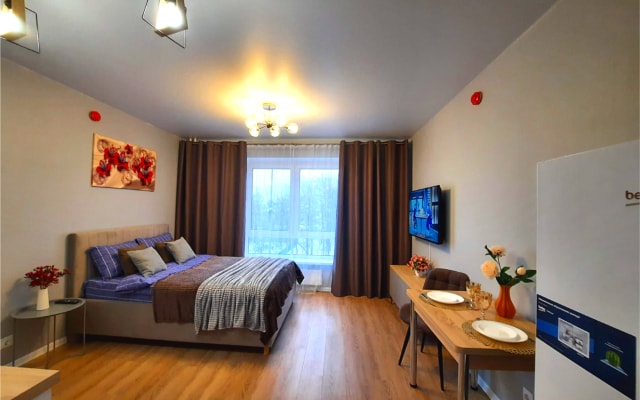Квартира Loft Studio на Летчика Ларюшина 2