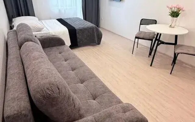 Квартира на Улице Александра Невского 4Ак1